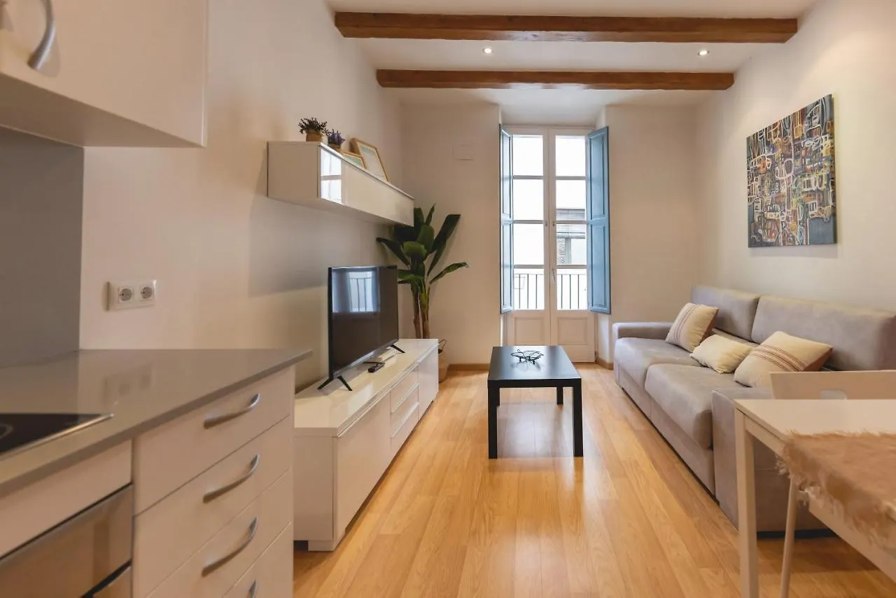 Apartment Bravissimo Placa Dels Raims Girona